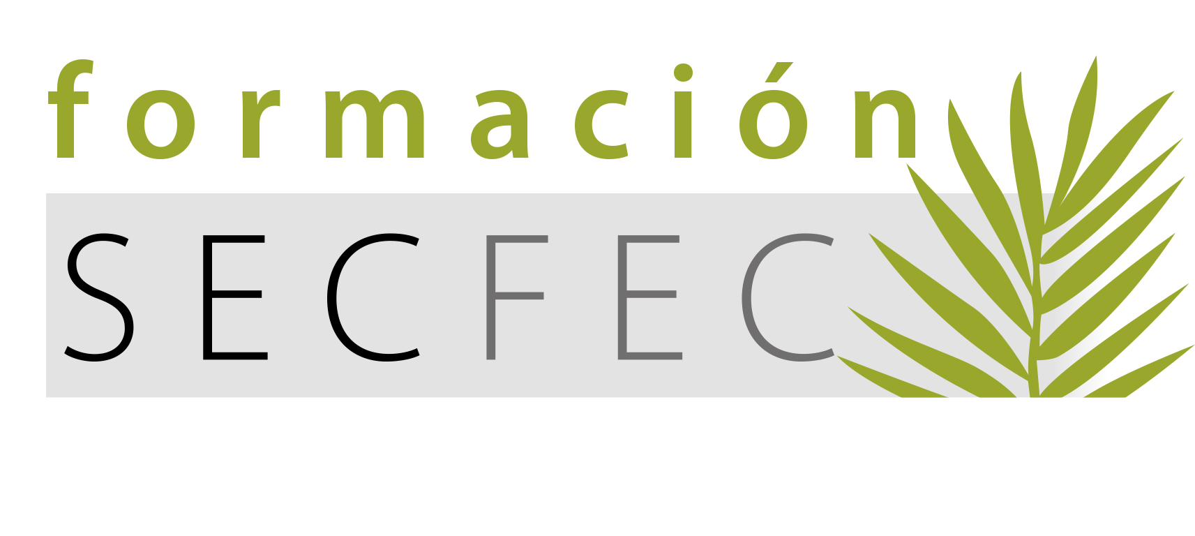 logo_secfec_formacion