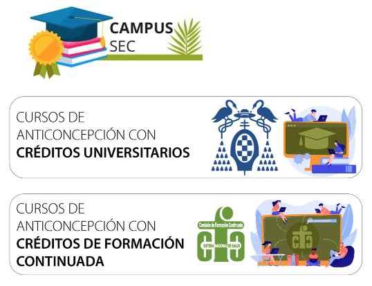 Nueva Edición Académica Del Campus De La SEC Con Siete Cursos De